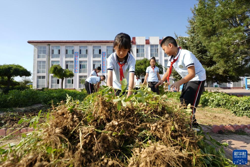 足球即时比分
